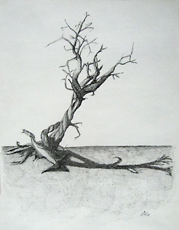 1979: Serie Baum Nr. 1